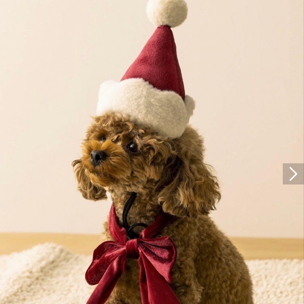 Japan Santa hat and ribbon set for pet
